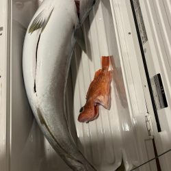 丹後半島沖ジギングで寒ブリ