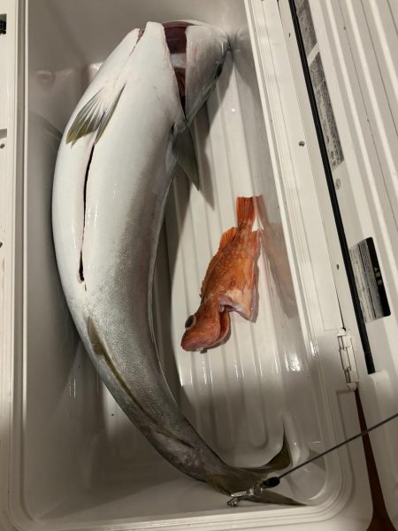 丹後半島沖ジギングで寒ブリ