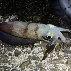 久しぶりのジェット噴射の感覚