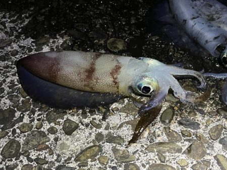 久しぶりのジェット噴射の感覚