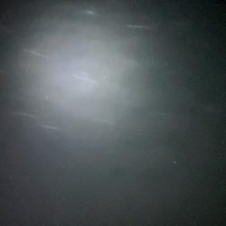 12月なのに太刀魚爆沸き！！