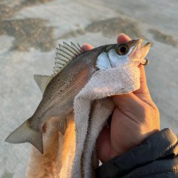 寒くてもメッキ！