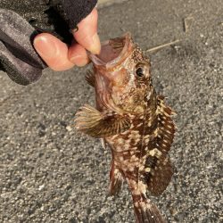 僅かなアタリで1枚