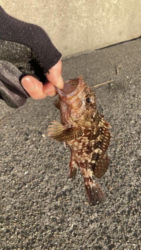 僅かなアタリで1枚