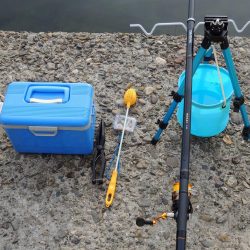 初冬のエビ撒き釣り 天気は良かったが