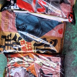 和歌山口和深(下谷渡船)でグレ釣り