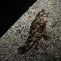 爆風ライトゲーム