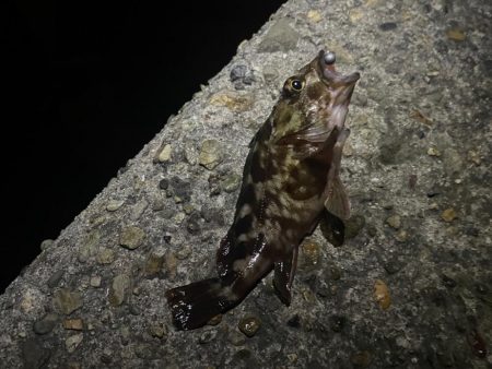 爆風ライトゲーム