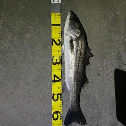 仕事帰りの1時間