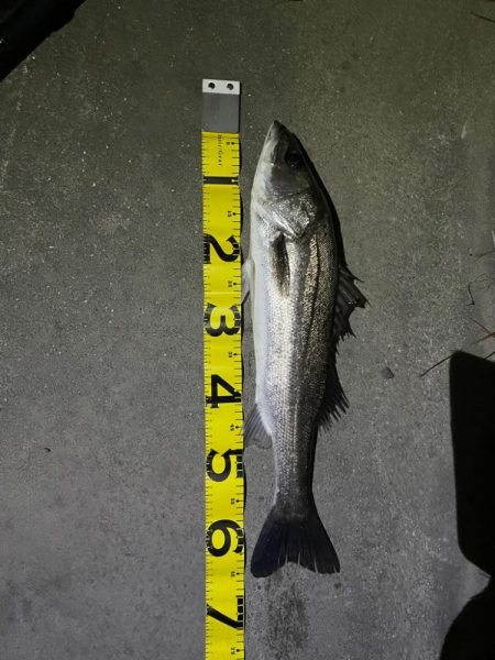 仕事帰りの1時間