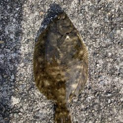 赤灯台〜東二見釣行！