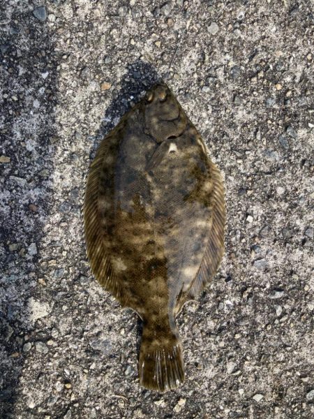 赤灯台〜東二見釣行！