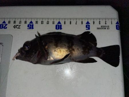 シーズン終盤？