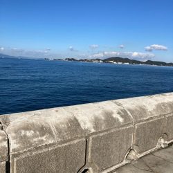 なんじゃこりゃ