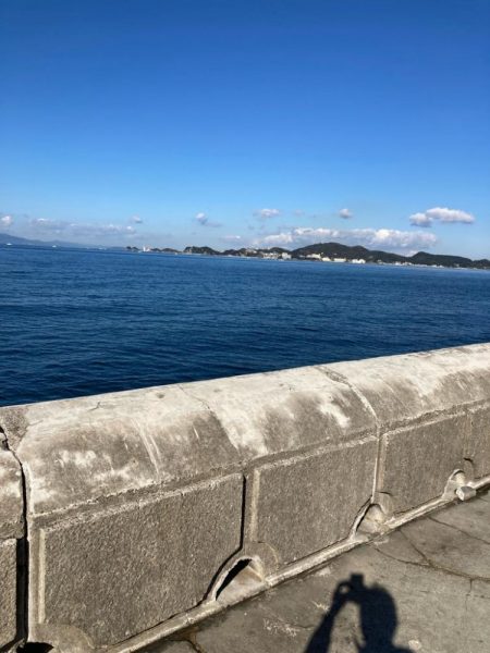 なんじゃこりゃ