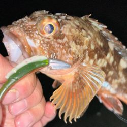 トレジャーハント