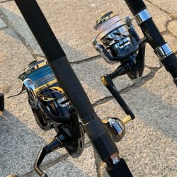 年来ラスト翼 坊主逃れで五目達成