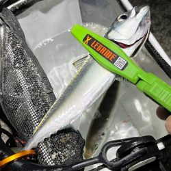 絶好釣アジング