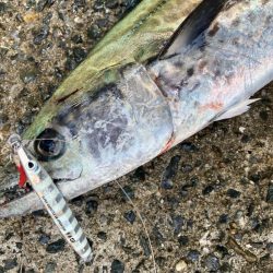 2023ライトゲーム第46戦