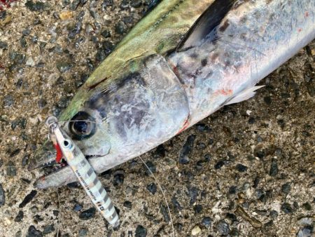 2023ライトゲーム第46戦