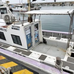 室津のカットウフグ