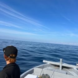 今年最後かな？