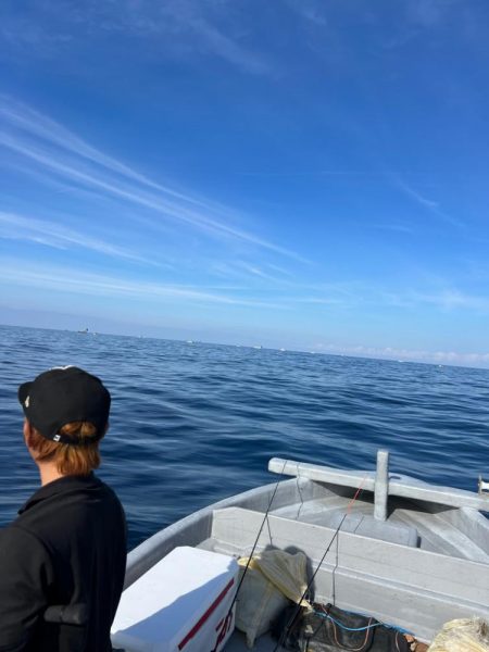 今年最後かな？