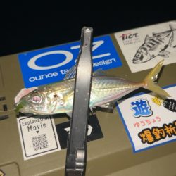 劇寒で1時間釣行