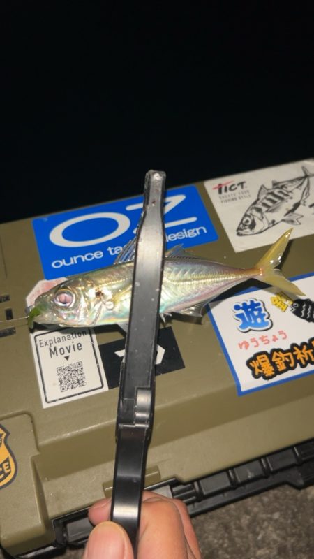 劇寒で1時間釣行