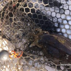 12/10 伊島沖ジギング