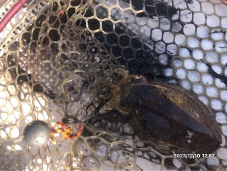 12/10 伊島沖ジギング