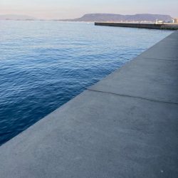 ヒラメ狙いから変更