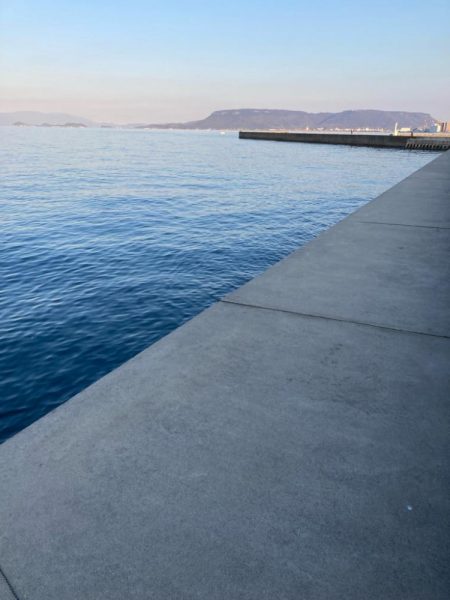 ヒラメ狙いから変更