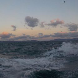 タチウオ最終戦・初タチウオジギング〜盛和丸〜