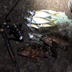 自作ロッドのデビュー戦