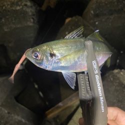 フロートアジング