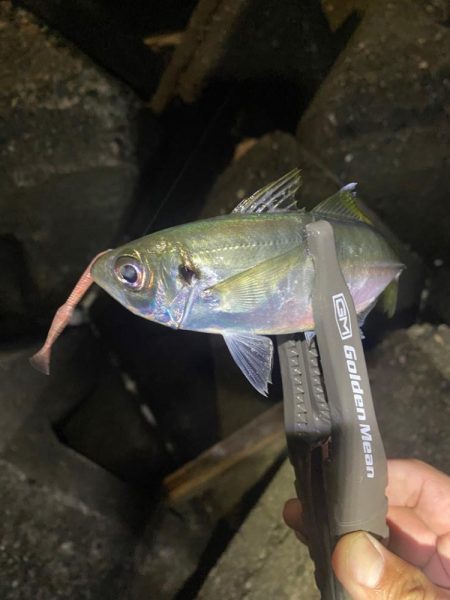 フロートアジング