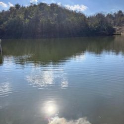 武庫川で大鯉！！