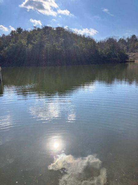 武庫川で大鯉！！