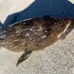 ちょー久々堤防ロック