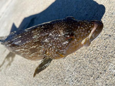 ちょー久々堤防ロック