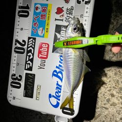 今シーズン初尺オーバーアジ🐟