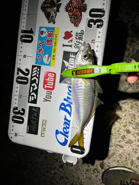 今シーズン初尺オーバーアジ🐟