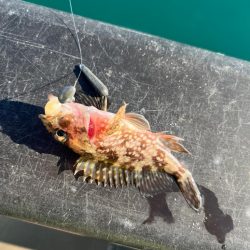 帰省途中の癒し