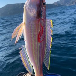 いつものポイントへアマダイ釣行