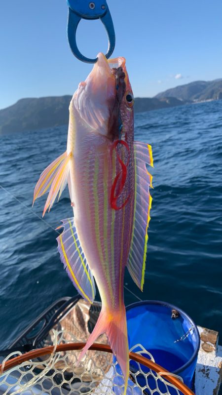 いつものポイントへアマダイ釣行