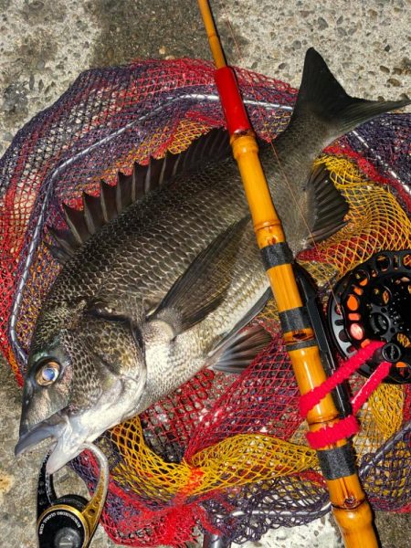 ヘチってきました