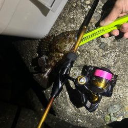 釣り上げられず、、