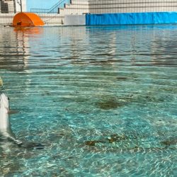 かめプーにて釣り納め