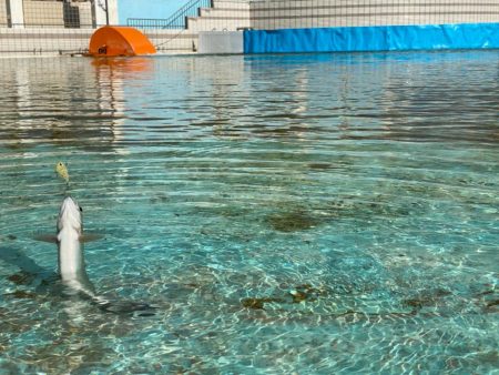 かめプーにて釣り納め